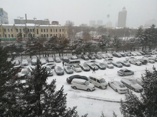 20190321110111963.jpg