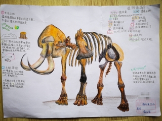 20190615101159064.jpg